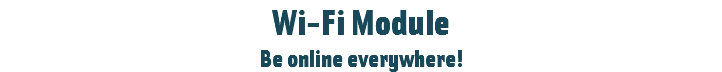 Wi-Fi Module
Be online everywhere!